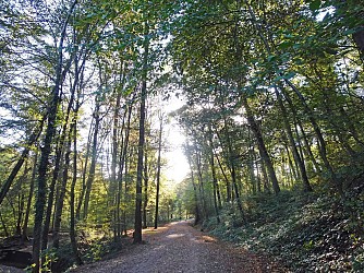 La Tour de Salvagny - Boucle du Bois de la Lune