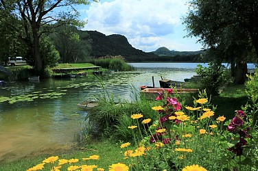 Hike : Lake and vineyards