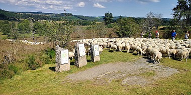 Tourbière du Longeyroux : sentier d'interprétation des Linaigrettes - 1 km