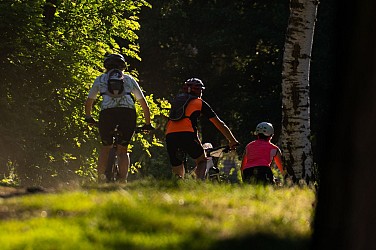 N° 13 La pierre branlante - Espace VTT-FFC Massif des Bois Noirs