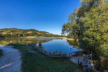 St Jean de Bournay : Etang de Montjoux