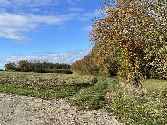 St Agnin sur Bion : Les Bois Jolis