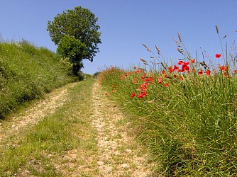 Circuit du Mont Madame