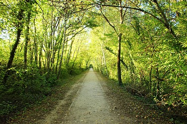 Voie verte : Gex-Divonne, par l'ancienne voie ferrée