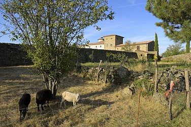 Randonnée : Les maisons fortes : de Quintenas à Ardoix