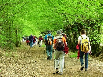 PRETREVILLE  : La boucle de Querville - 6,7KM