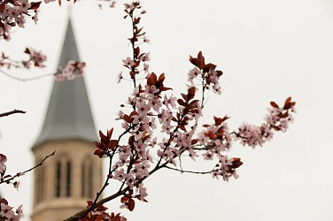 C8 circuit cyclo autour de Saint-Sulpice-les-Feuilles et Arnac-la-Poste