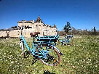 Château Royal de Cazeneuve