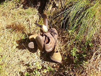 Les 3 ruisseaux de la plaine à la forêt