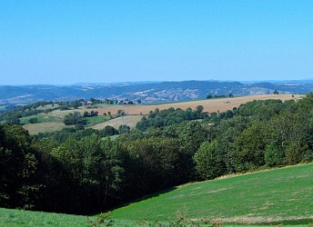 De Saint-Chamond à Tarare par le GR® 7