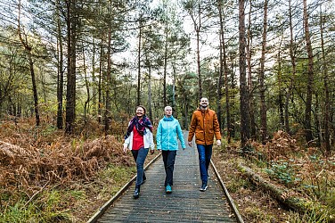 Circuit des étangs en forêt d'Avaugour