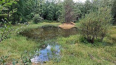 Rendez-vous au rond de Condé