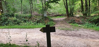 Balade - L'arboretum d'Etrez & ND de Bourbouillon