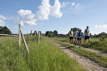 Trail - Sentier des cavaliers