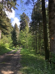 Tour de Pays VTT Bugey - Grand Colombier - Espace FFC Ain Forestière : étape 1 Culoz - La Praille