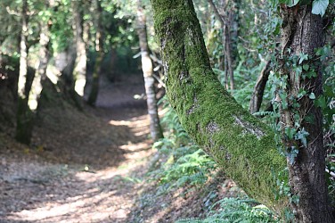 Sentier des Gascieux