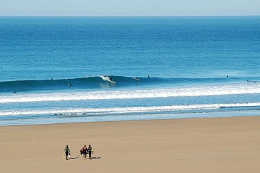 Entre landes et dunes