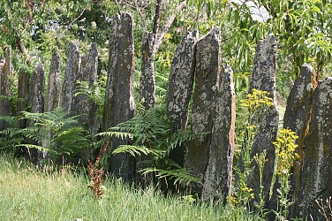Les Palis