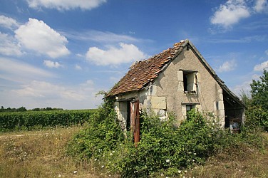 Chemin des loges de vignes