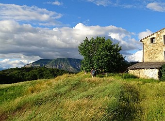 Le circuit des fermes