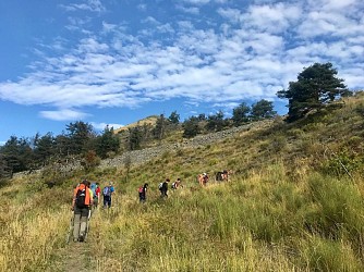 Chemin de fer de la Combe (N°23)