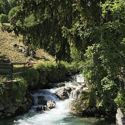 Le Chemin des Alpages