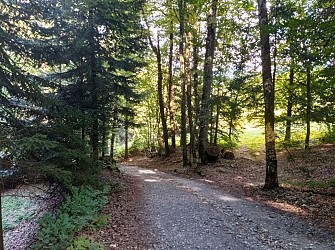 Sentier VTT : boucle du Bois de Fessy