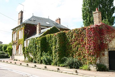 Dammartin en Serve - La vallée du Ru d'Ouville