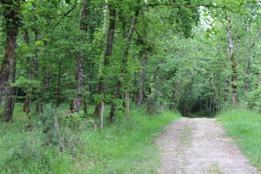 Boucle locale de Cayfas à Listrac-de-Durèze