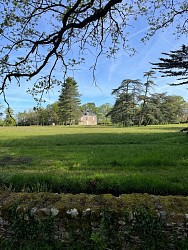 LE BOIS NOIR - Montaigu-Vendée (Saint-Hilaire-de-Loulay)