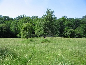 Boucle de l'Abbaye - sentier historique