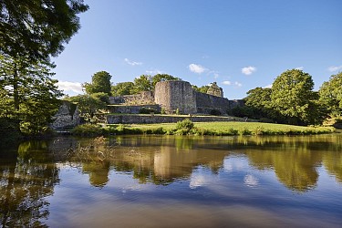 RIVIERES & ABBAYE - Montaigu-Vendée