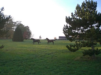 Longnes Mondreville - Parmi les chênes