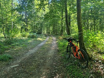 Circuit VTT-VTC n°6 Chemins des bois de Bresse (petite boucle)