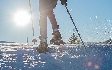 Snowshoe itinerary - la chenille