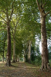 20km Running Route "Figure 8 Loop of the two valleys"