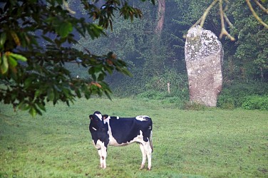 GORRON - Sentier de la Colmont - N°11