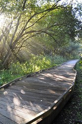 Le Marais des Communaux, un espace naturel accessible à tous