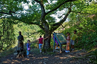 Sentier de l'imaginaire - La Forêt magique