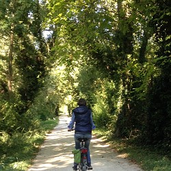 Rouillac : boucle locale 27 - boucle C