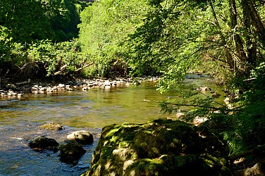 La Flandonnière