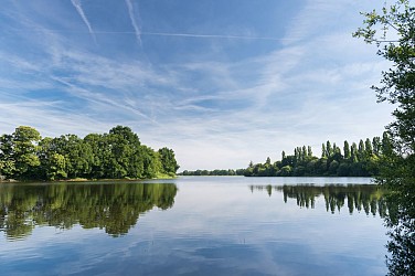 Sentiers accessible de l'Étang de Châtillon-en-Vendelais - rive ouest