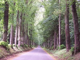 Sentier du Loup (Berlencourt-le-Cauroy)