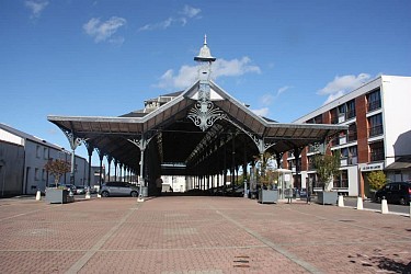 Sur les pas de Maurice Genevoix