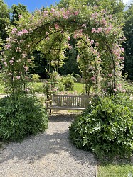 En forêt d'Ermenonville à Chaalis