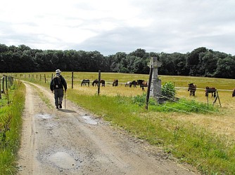 La Montagne d'Hauette
