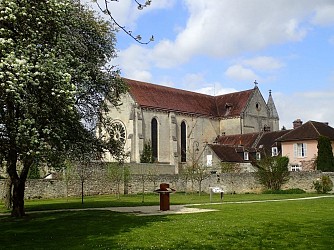 La majesté des futaies de Compiègne