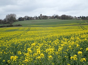 Paysages de Montjavoult