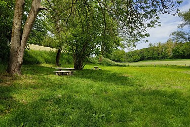 Circuit du Moulin Vieux, l'écureuil (mauve)