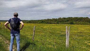 Circuit du Moulin Vieux, le cerf (jaune)